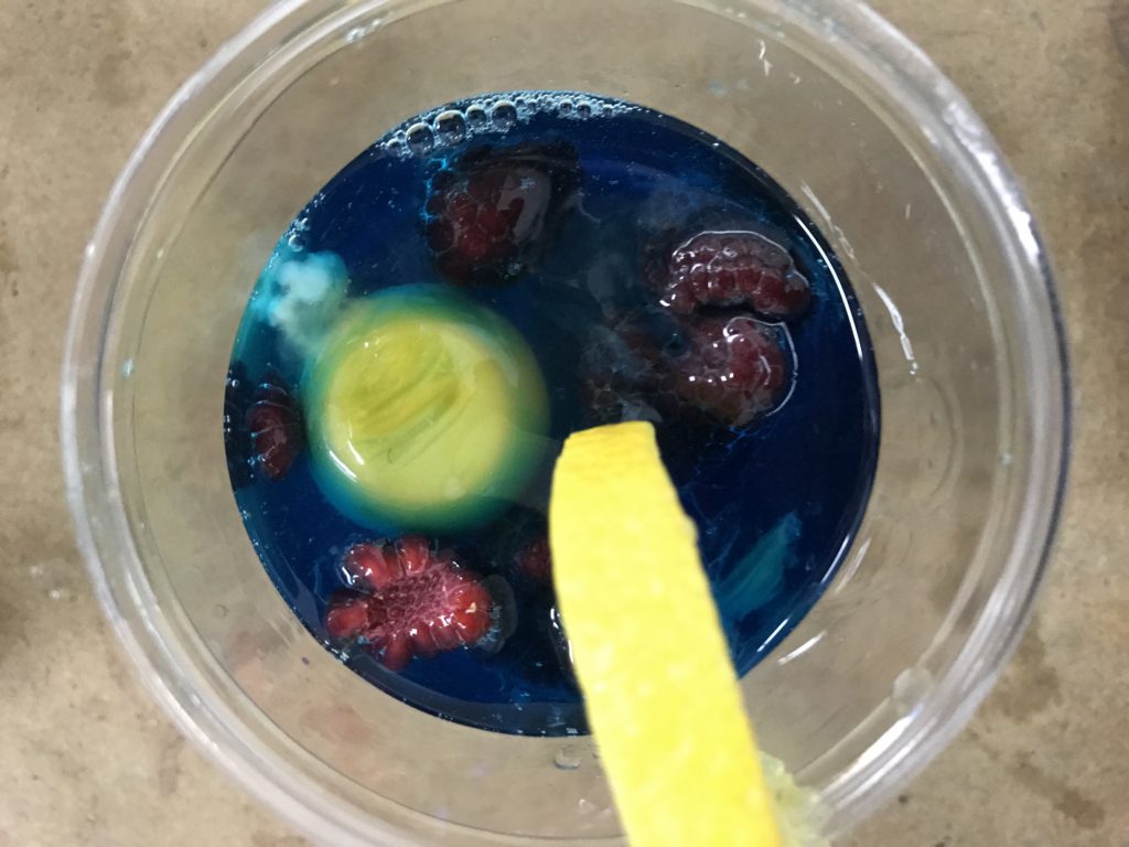 Forde Galaxia Wang – La Cosmose – Globale de L’Usine