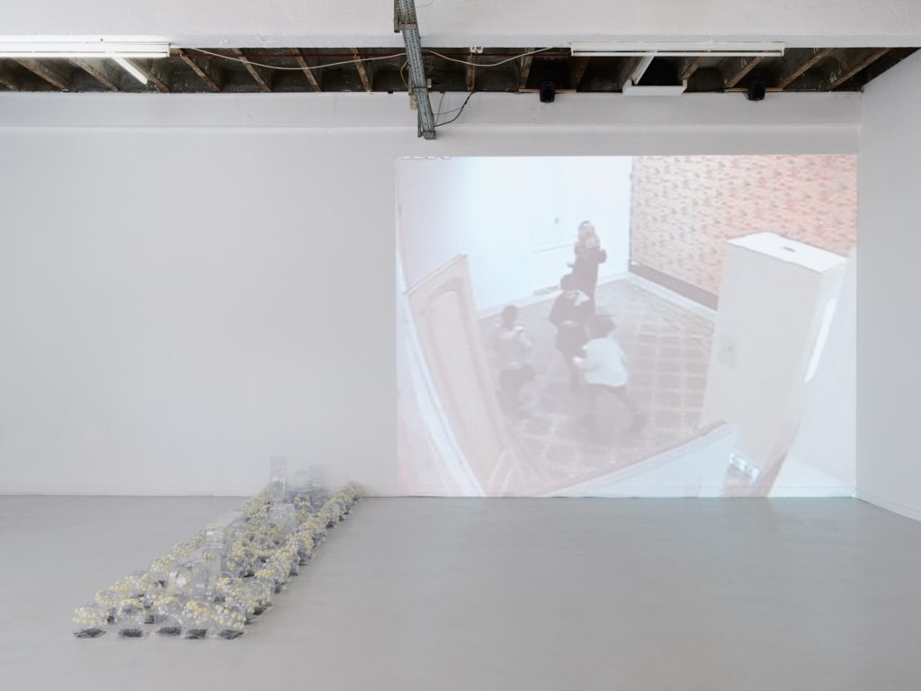 Forde Guillaume Maraud. Patrimoine – forthcoming (dec. 8th 2017)