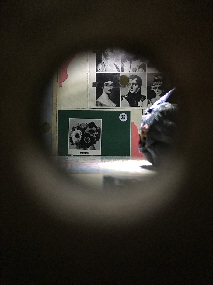 Forde Alan Schmalz – Appareils de récréation