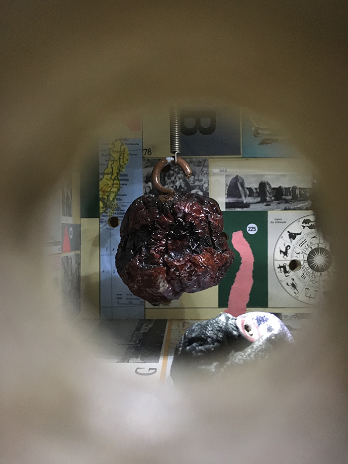 Forde Alan Schmalz – Appareils de récréation